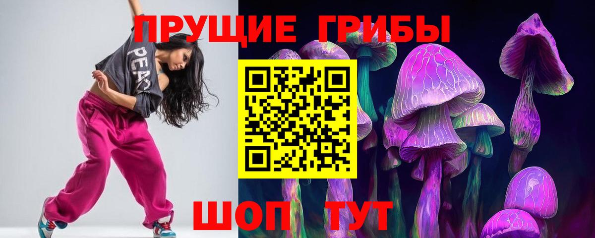 Псилоцибиновые грибы MAGIC MUSHROOMS  Вход с VPN  Липецк  Псилоцибиновые грибы Cubensis 